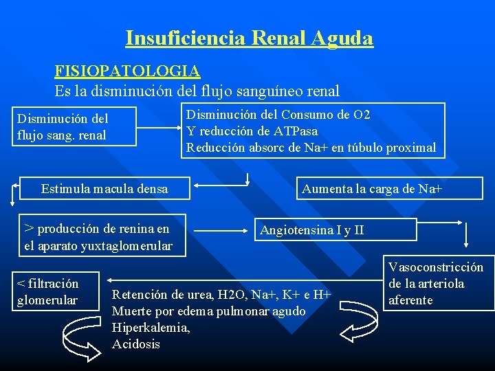 Insuficiencia Renal Aguda FISIOPATOLOGIA Es la disminución del flujo sanguíneo renal Disminución del Consumo