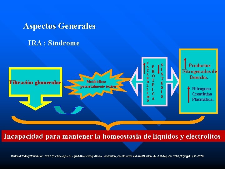 Aspectos Generales IRA : Síndrome Filtración glomerular Metabólicos potencialmente tóxicos C A T A
