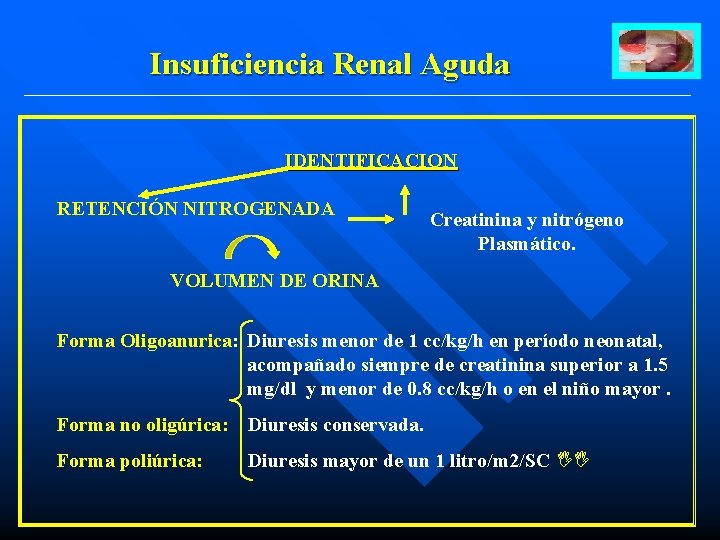 Insuficiencia Renal Aguda IDENTIFICACION RETENCIÓN NITROGENADA Creatinina y nitrógeno Plasmático. VOLUMEN DE ORINA Forma