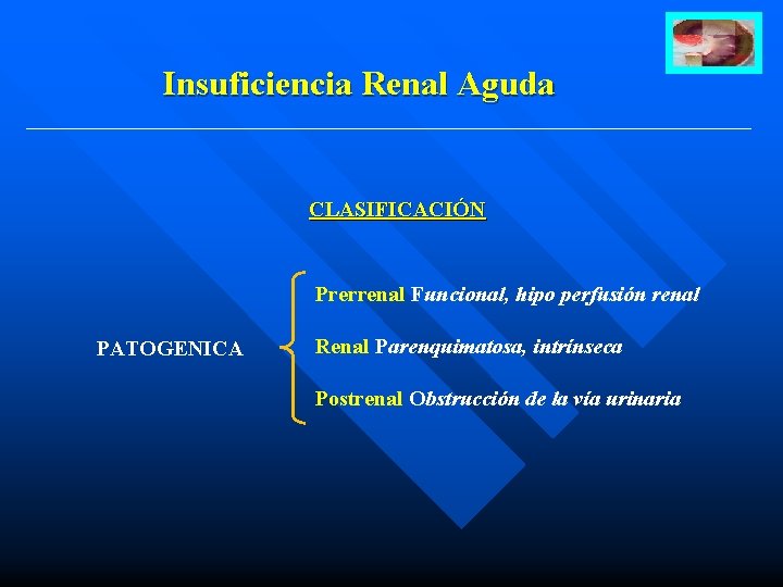 Insuficiencia Renal Aguda CLASIFICACIÓN Prerrenal Funcional, hipo perfusión renal PATOGENICA Renal Parenquimatosa, intrínseca Postrenal
