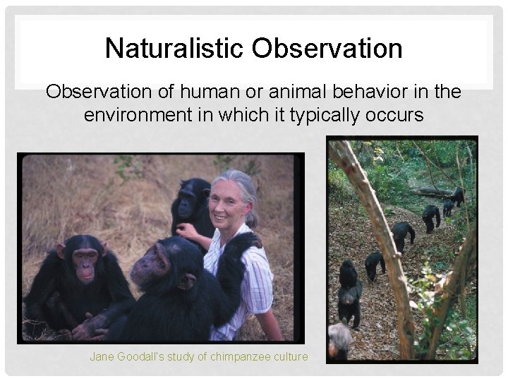 Naturalistic Observation of human or animal behavior in the environment in which it typically