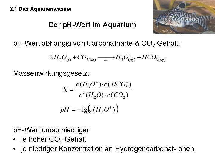 2. 1 Das Aquarienwasser Der p. H-Wert im Aquarium p. H-Wert abhängig von Carbonathärte