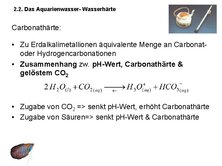 2. 2. Das Aquarienwasser- Wasserhärte Carbonathärte: • Zu Erdalkalimetallionen äquivalente Menge an Carbonatoder Hydrogencarbonationen