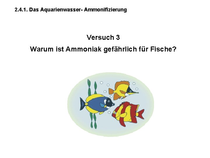 2. 4. 1. Das Aquarienwasser- Ammonifizierung Versuch 3 Warum ist Ammoniak gefährlich für Fische?