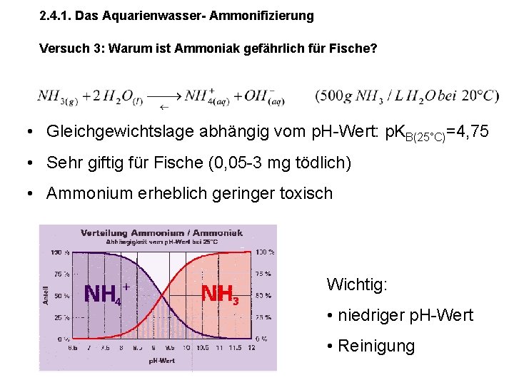 2. 4. 1. Das Aquarienwasser- Ammonifizierung Versuch 3: Warum ist Ammoniak gefährlich für Fische?