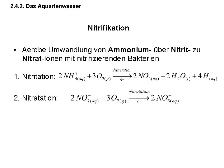 2. 4. 2. Das Aquarienwasser Nitrifikation • Aerobe Umwandlung von Ammonium- über Nitrit- zu