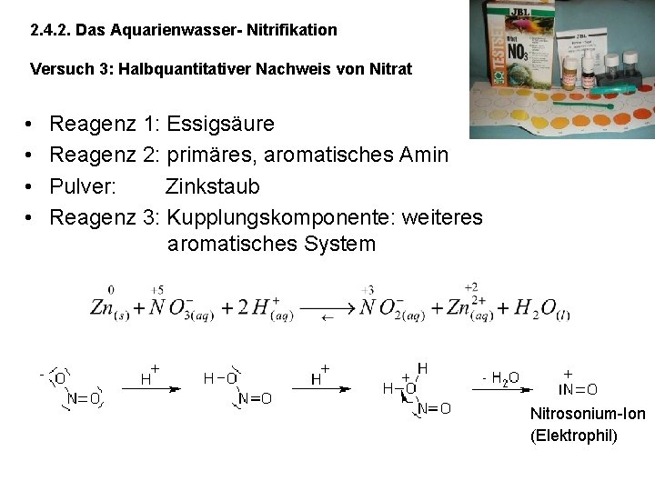 2. 4. 2. Das Aquarienwasser- Nitrifikation Versuch 3: Halbquantitativer Nachweis von Nitrat • •