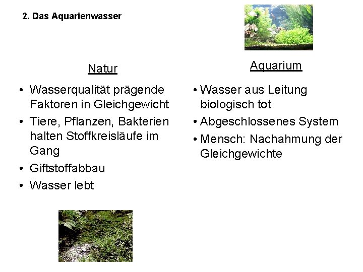 2. Das Aquarienwasser Natur • Wasserqualität prägende Faktoren in Gleichgewicht • Tiere, Pflanzen, Bakterien