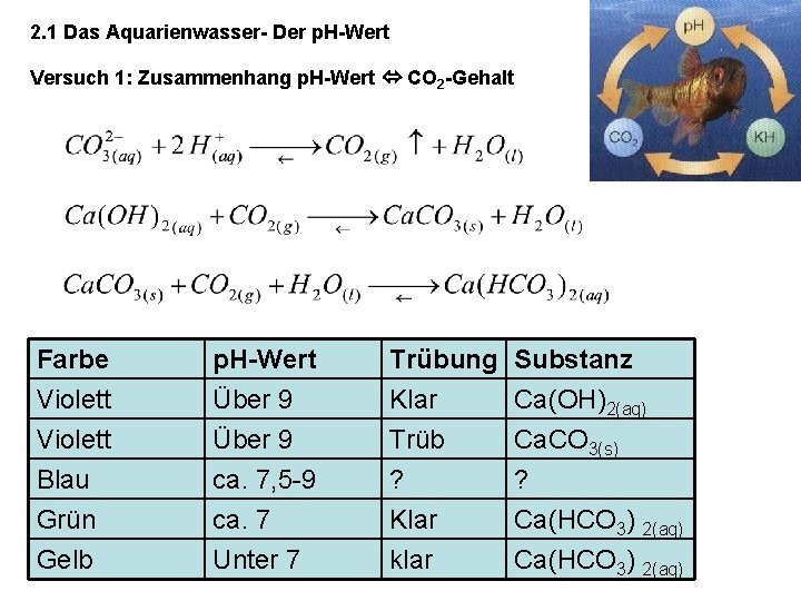 2. 1 Das Aquarienwasser- Der p. H-Wert Versuch 1: Zusammenhang p. H-Wert CO 2