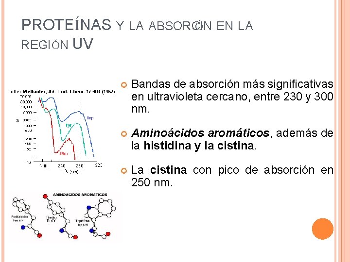 PROTEÍNAS Y LA ABSORCI ÓN EN LA REGIÓN UV Bandas de absorción más significativas