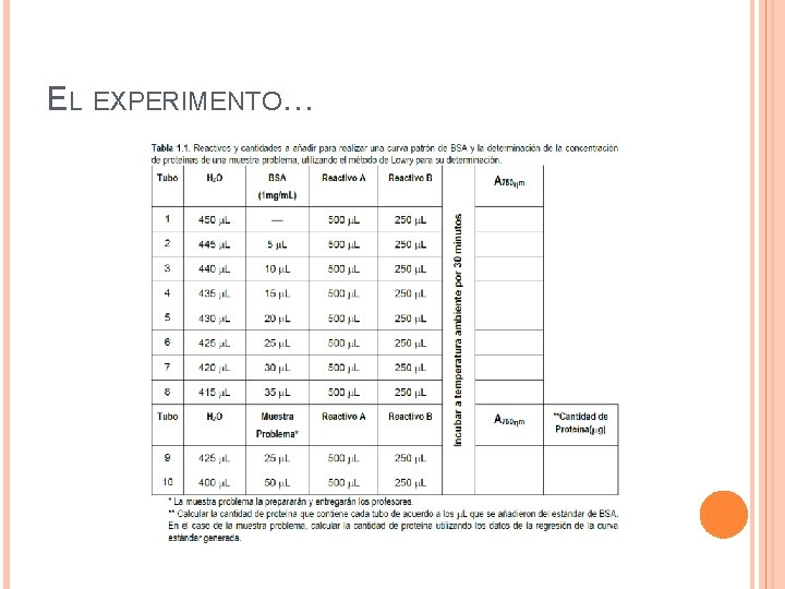 EL EXPERIMENTO… 