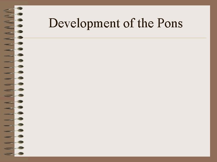 Development of the Pons 