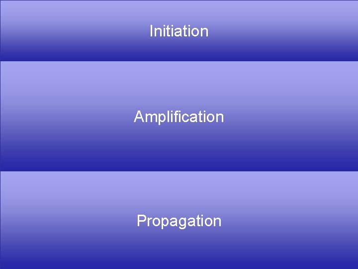 Tissue factor bearing cell VIIa TF Xa Initiation Va Xa IIa Plt Amplification Xa