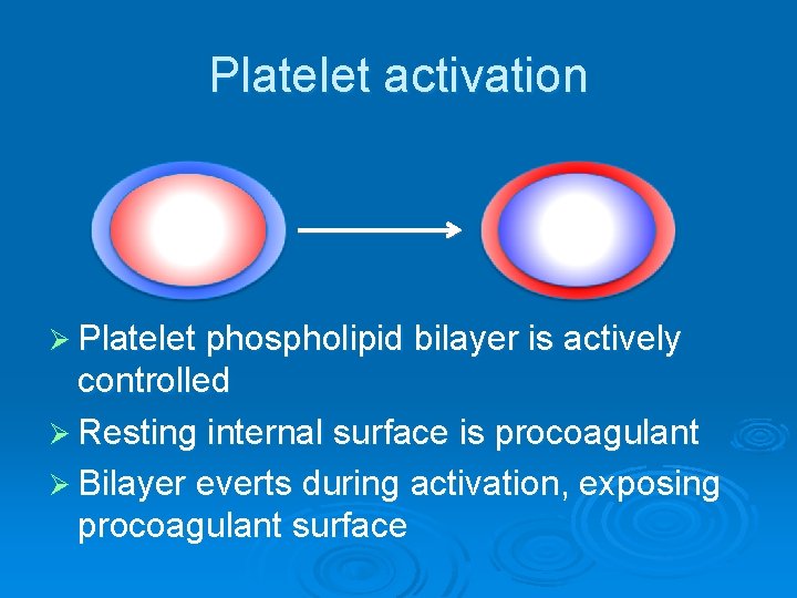 Platelet activation Ø Platelet phospholipid bilayer is actively controlled Ø Resting internal surface is