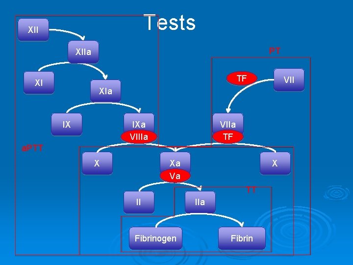 Tests XII PT XIIa TF XI VII XIa IX IXa VIIIa VIIa TF a.