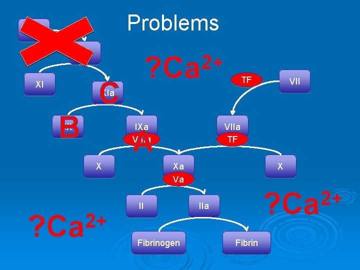 Problems XIIa C XI 2+ ? Ca TF VII XIa B IX IXa VIIIa