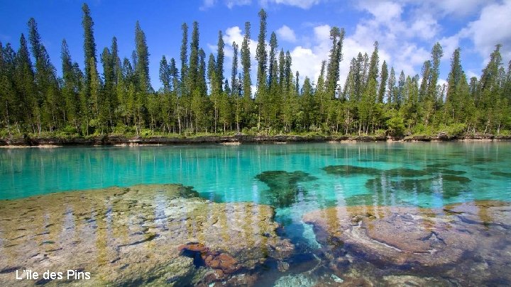 L’île des Pins 