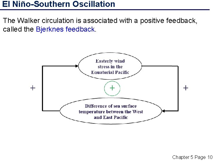 El Niño-Southern Oscillation The Walker circulation is associated with a positive feedback, called the