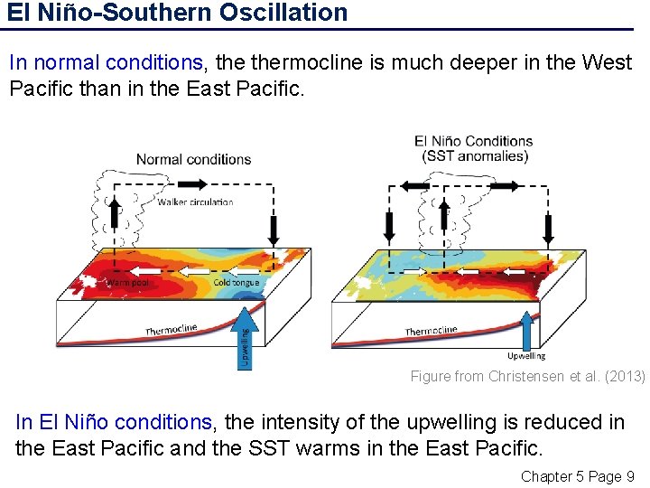 El Niño-Southern Oscillation In normal conditions, thermocline is much deeper in the West Pacific
