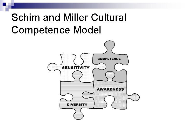 Schim and Miller Cultural Competence Model 