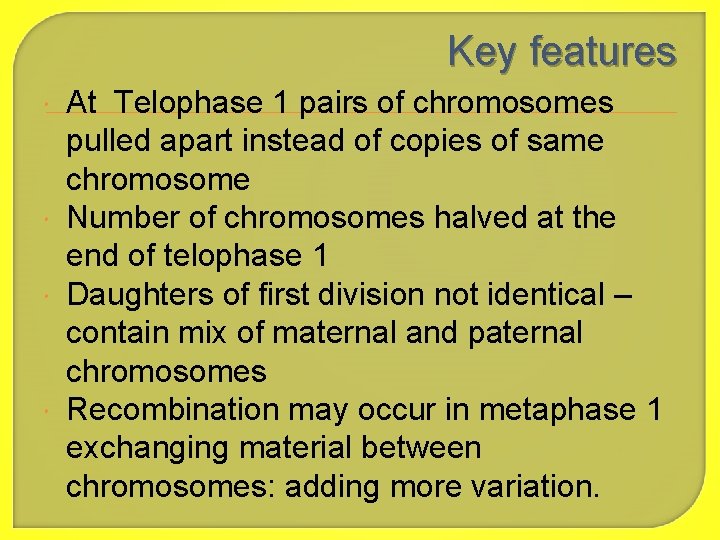Key features At Telophase 1 pairs of chromosomes pulled apart instead of copies of