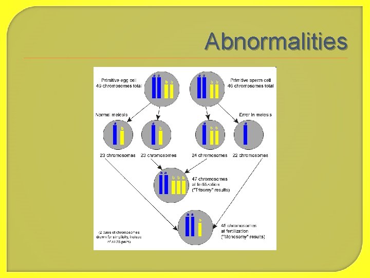 Abnormalities 