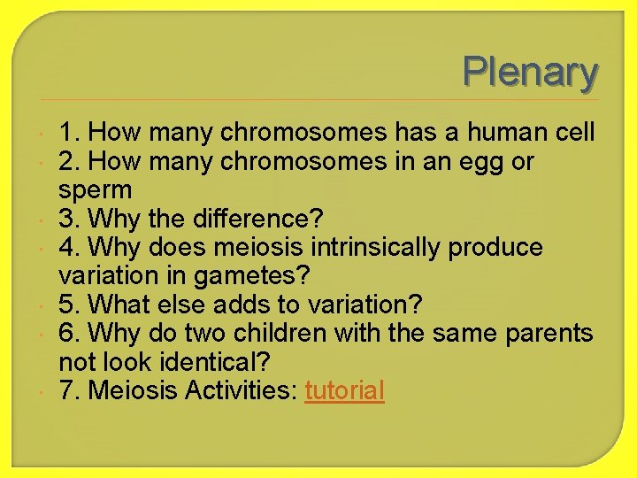 Plenary 1. How many chromosomes has a human cell 2. How many chromosomes in