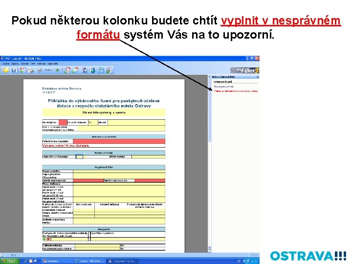 Pokud některou kolonku budete chtít vyplnit v nesprávném formátu systém Vás na to upozorní.