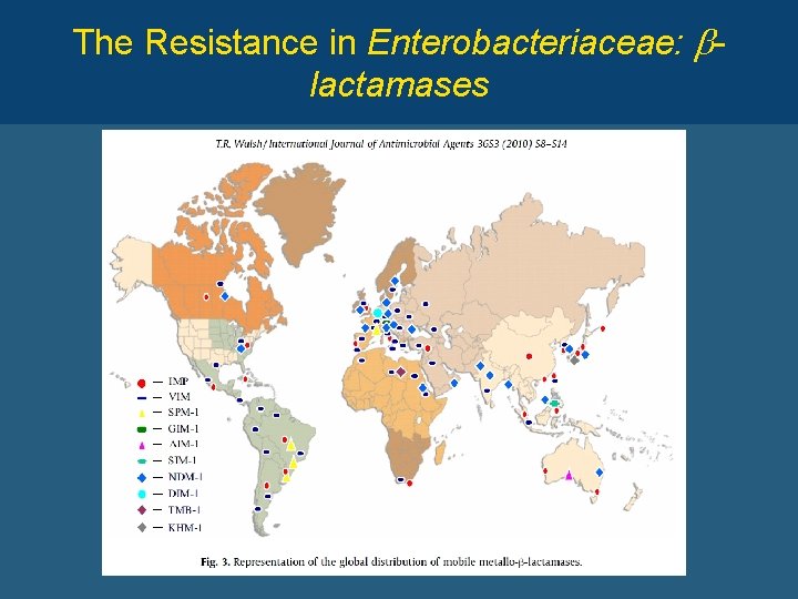 The Resistance in Enterobacteriaceae: blactamases 