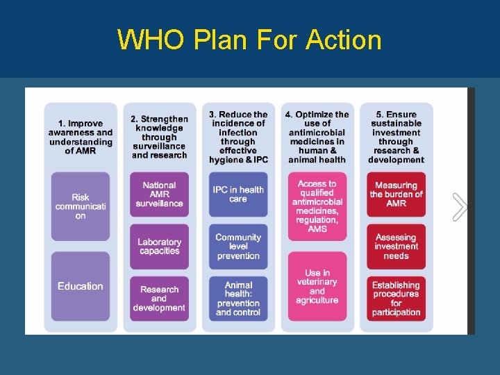 WHO Plan For Action 