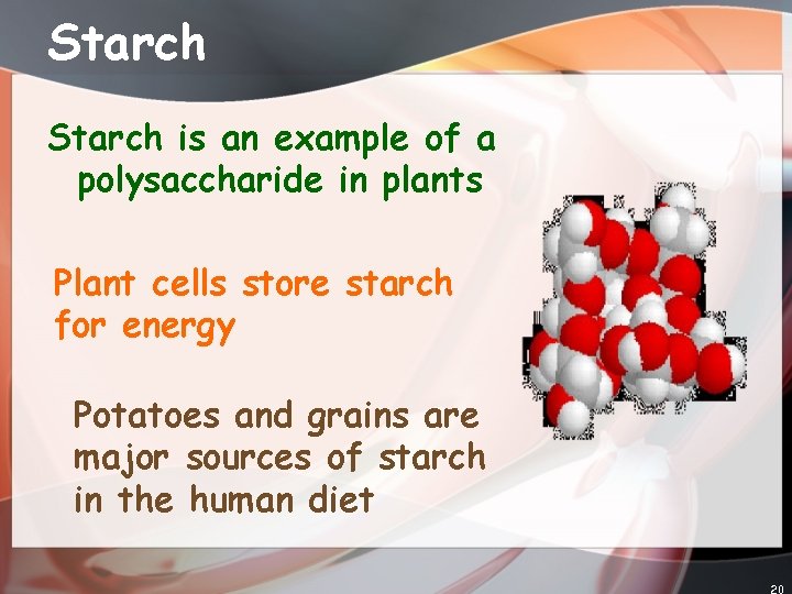Starch is an example of a polysaccharide in plants Plant cells store starch for