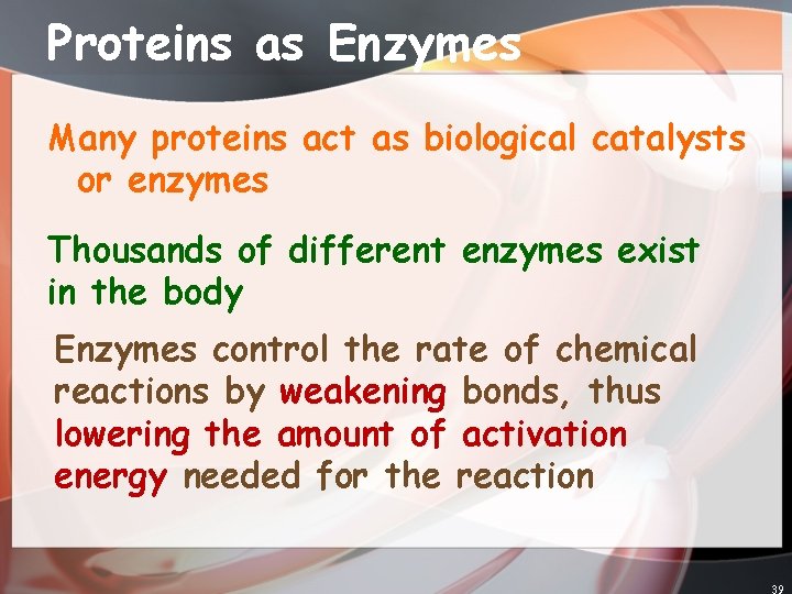 Proteins as Enzymes Many proteins act as biological catalysts or enzymes Thousands of different