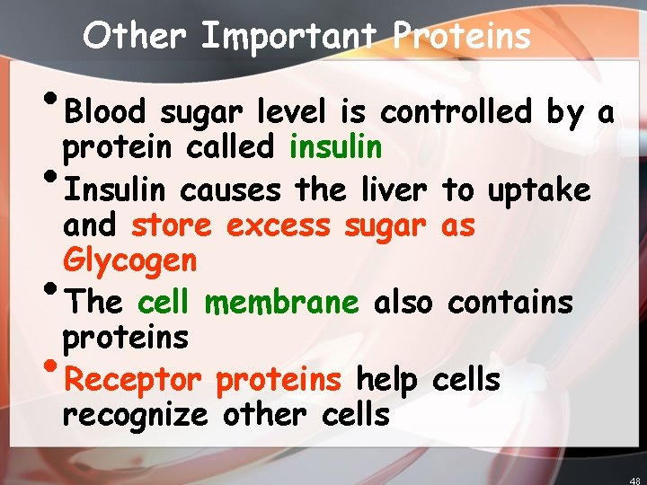 Other Important Proteins • Blood sugar level is controlled by a protein called insulin