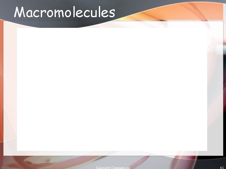 Macromolecules Copyright Cmassengale 61 