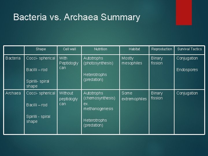 Bacteria vs. Archaea Summary Bacteria Shape Cell wall Cocci- spherical With Peptidogly can Bacilli