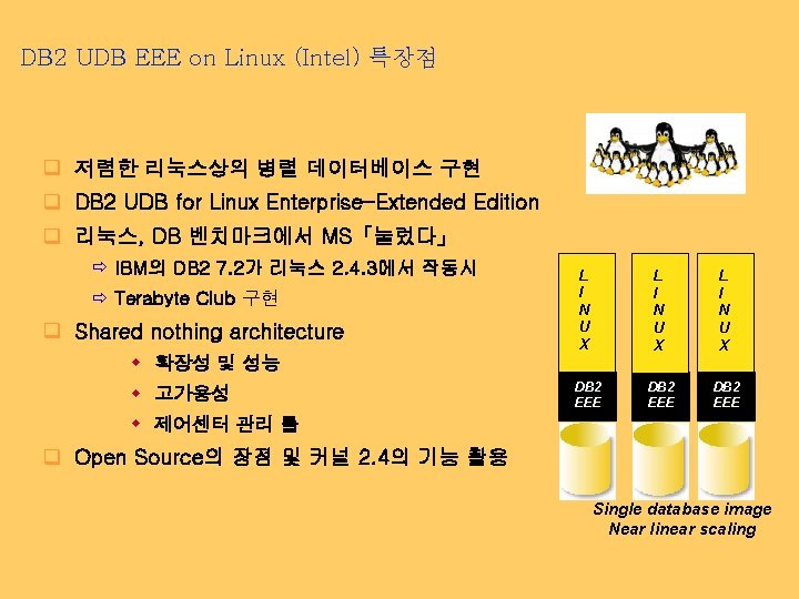 DB 2 UDB EEE on Linux (Intel) 특장점 q 저렴한 리눅스상의 병렬 데이터베이스 구현