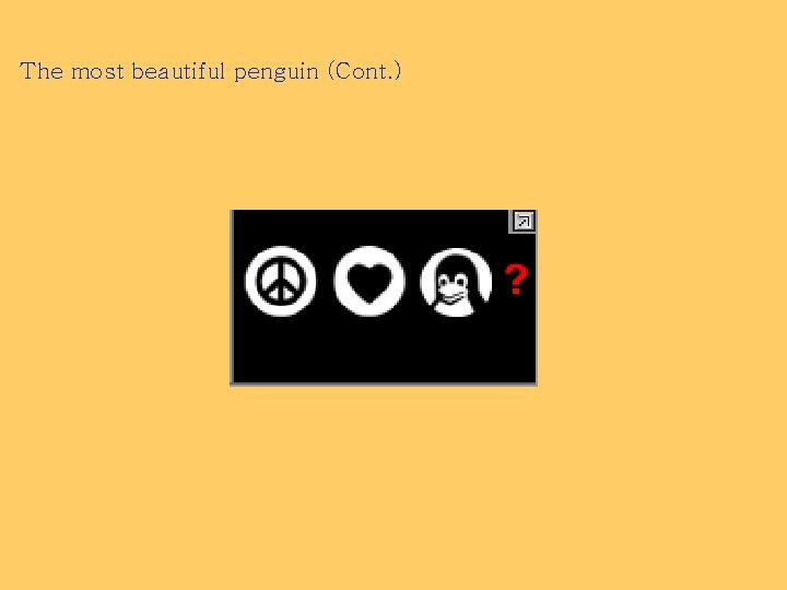 The most beautiful penguin (Cont. ) 