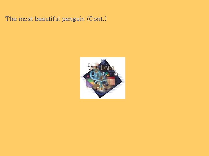 The most beautiful penguin (Cont. ) 
