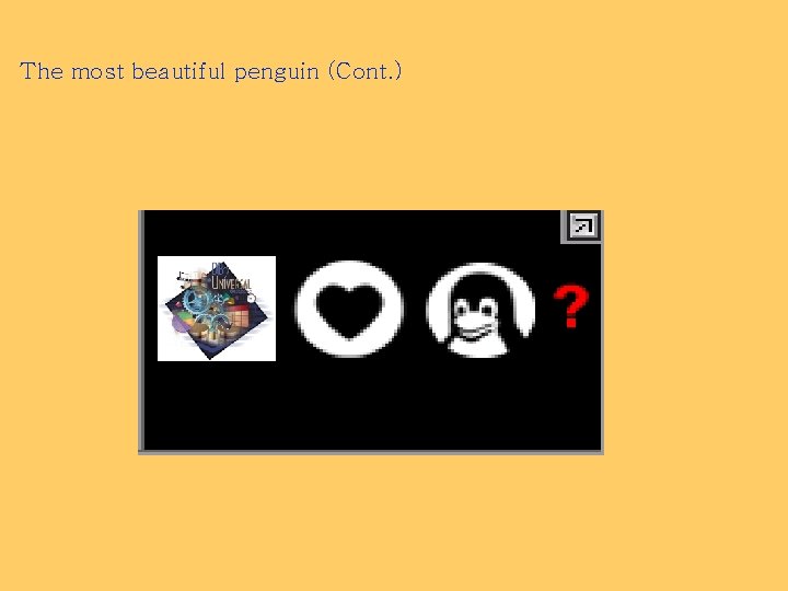The most beautiful penguin (Cont. ) 