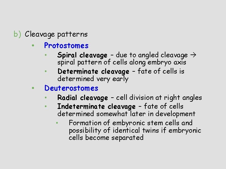 b) Cleavage patterns • Protostomes • • • Spiral cleavage – due to angled