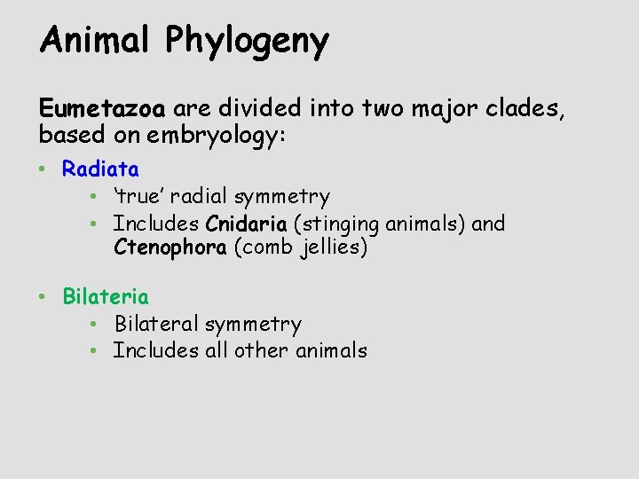 Animal Phylogeny Eumetazoa are divided into two major clades, based on embryology: • Radiata