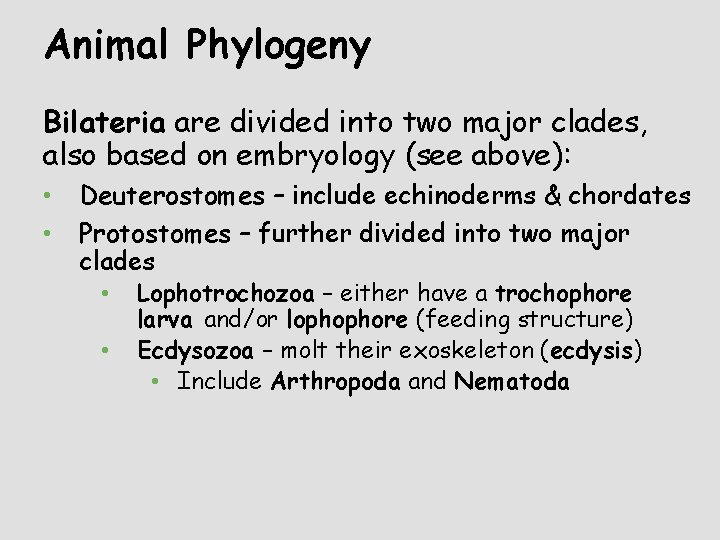 Animal Phylogeny Bilateria are divided into two major clades, also based on embryology (see