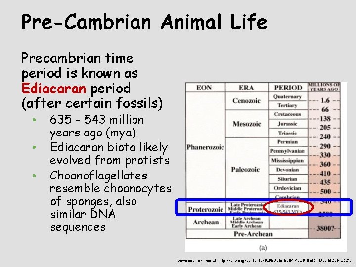 Pre-Cambrian Animal Life Precambrian time period is known as Ediacaran period (after certain fossils)