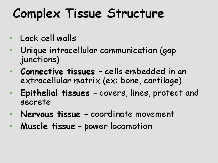 Complex Tissue Structure • Lack cell walls • Unique intracellular communication (gap junctions) •