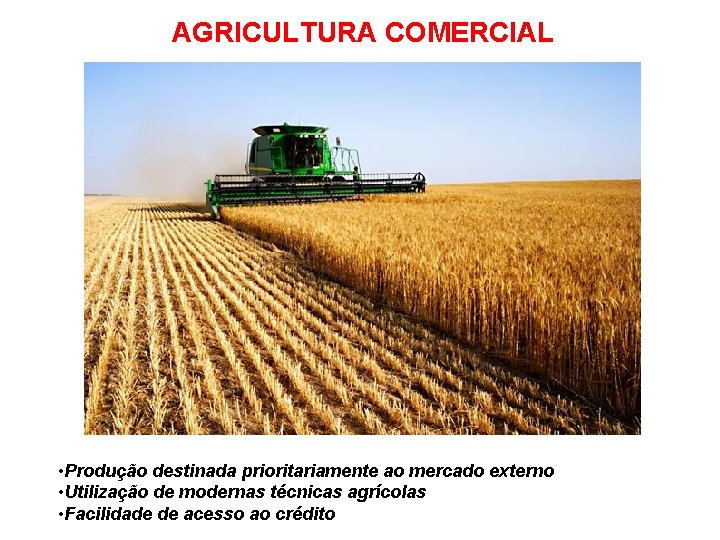 AGRICULTURA COMERCIAL • Produção destinada prioritariamente ao mercado externo • Utilização de modernas técnicas