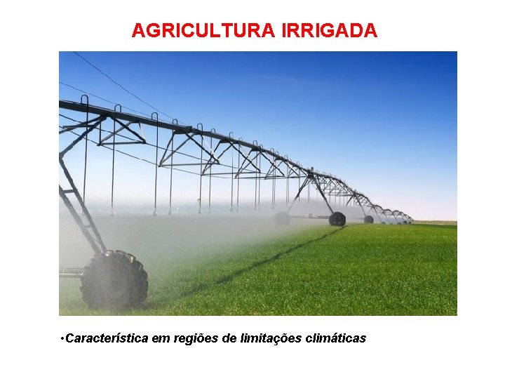 AGRICULTURA IRRIGADA • Característica em regiões de limitações climáticas 