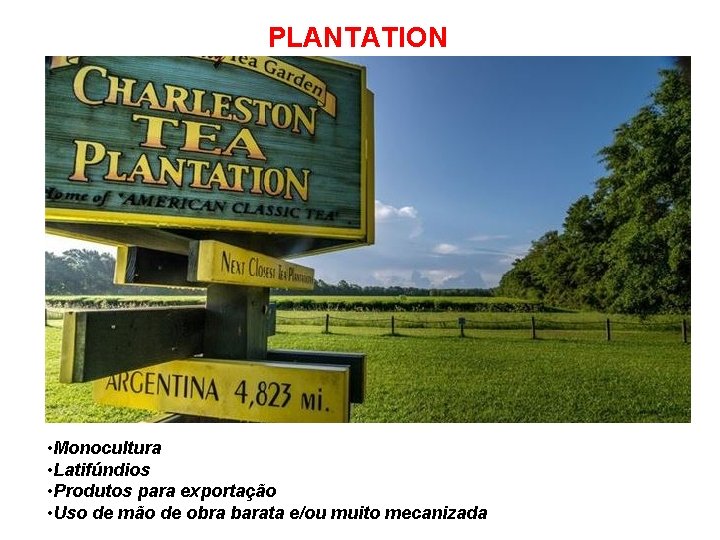 PLANTATION • Monocultura • Latifúndios • Produtos para exportação • Uso de mão de