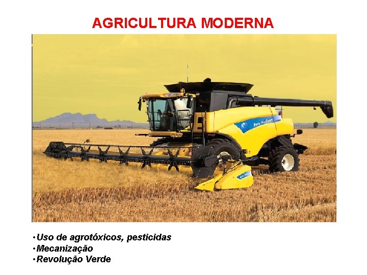 AGRICULTURA MODERNA • Uso de agrotóxicos, pesticidas • Mecanização • Revolução Verde 