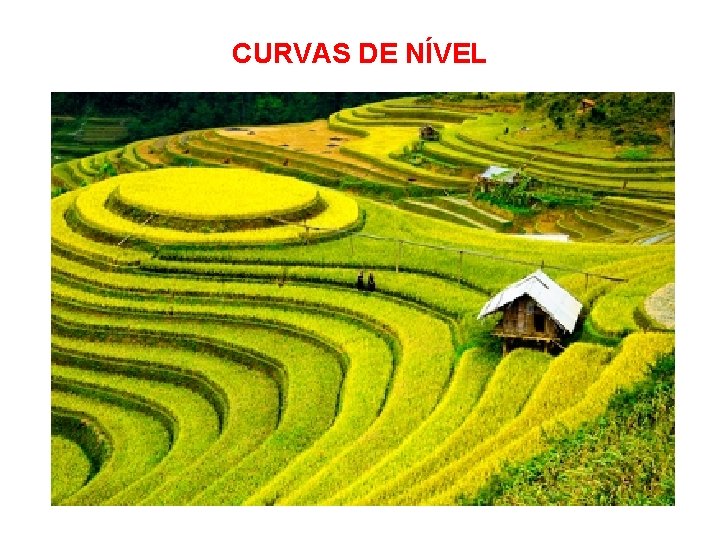 CURVAS DE NÍVEL 