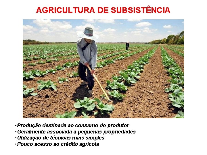 AGRICULTURA DE SUBSISTÊNCIA • Produção destinada ao consumo do produtor • Geralmente associada a